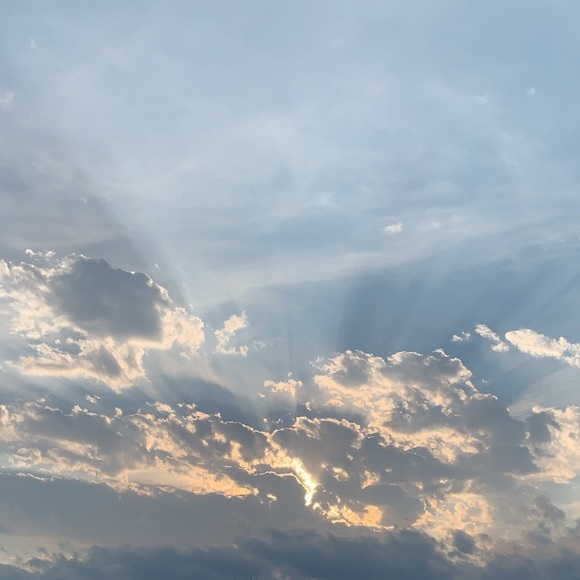 Meet your Posher, Carli - Picture 1 of 1